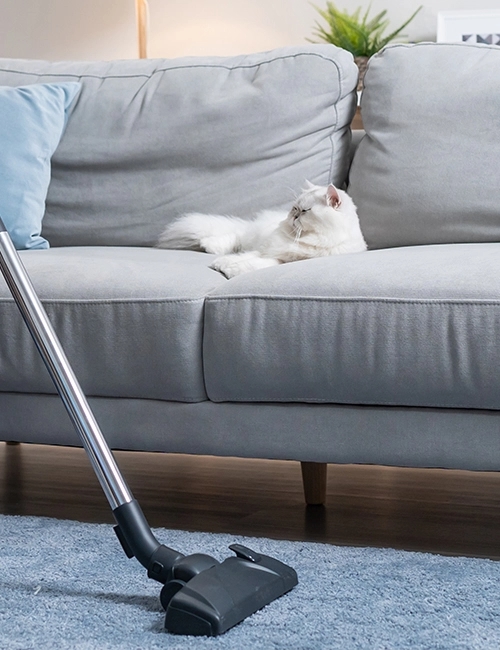 hoover-image-3